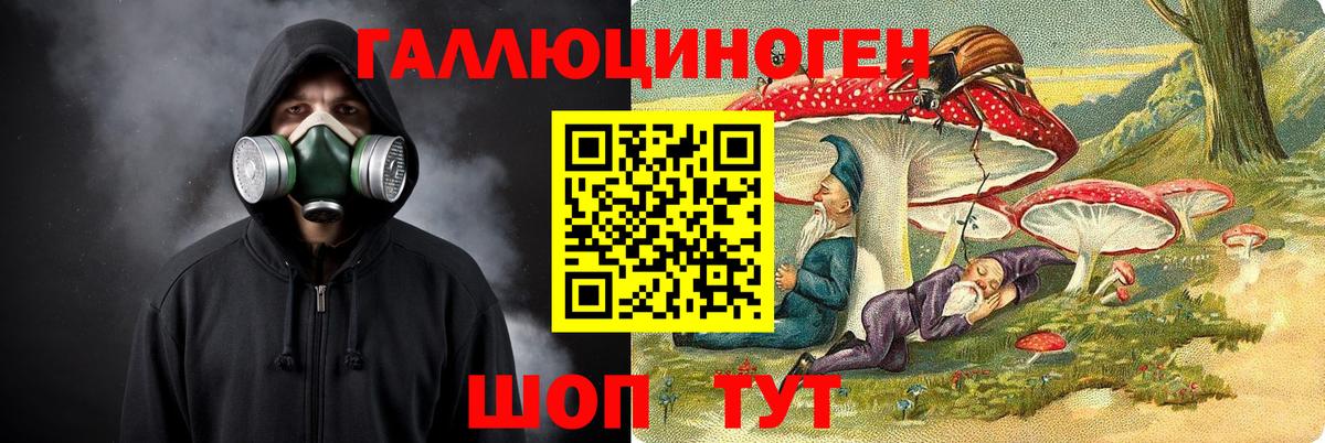 Псилоцибиновые грибы GOLDEN TEACHER Нурлат