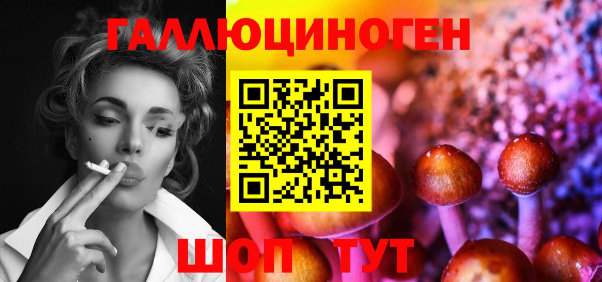 что такое   Галлюциногенные грибы мицелий  Вход с VPN  Нурлат 